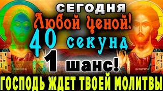 ЛЮБОЙ ЦЕНОЙ ВКЛЮЧИ ЭТО БОГОСЛУЖЕНИЕ. БОГОСЛУЖЕНИЕ ОНЛАЙН. ЛИТУРГИЯ. ПРЯМОЙ ЭФИР