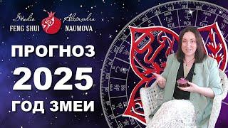 Астропрогноз на 2025 год Деревянной Змеи по Бацзы