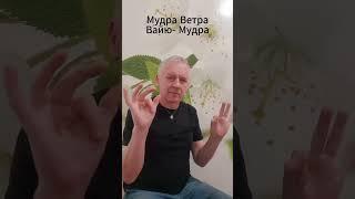 #Мудра - это мудро! Избавляемся от болезней, связанных с патогенным ветром #аюрведа см. описание