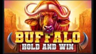 Слоты 1XBET BUFFALO HOLD AND WIN ОТ BOOMING GAMES