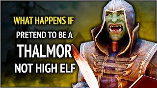 Skyrim ٠ What Happens if you Pretend to be a Thalmor but not a High Elf at the Thalmor Embassy