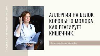 Аллергия на белок коровьего молока  Как реагирует кишечник.