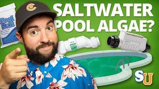 How to Remove ALGAE From a SALT WATER POOL