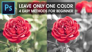 Leave only one color and make it black and white in Photoshop   Photoshop Tutorial