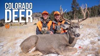 The Colorado Experience | BIG BUCK DOWN #FreshTracks