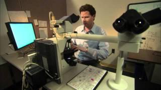 Neurologist William Seeley: 2011 MacArthur Fellow | MacArthur Foundation