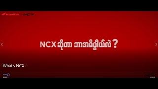 What is the meaning of NCX ?