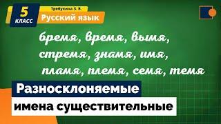 РУССКИЙ ЯЗЫК.  Разносклоняемые имена существительные.