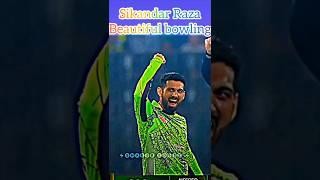 Sikandar Raza beautiful bowling #shorts #youtubeshorts #ytshorts