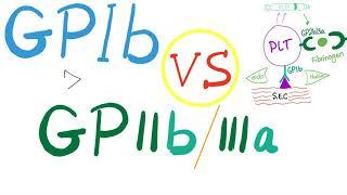 Glycoprotein GPIb vs. GPIIb/IIIa - Platelet Adhesion and Aggregation - Hemostasis - Hematology