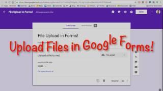 File Upload in Google Forms