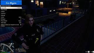 GTA 5 LSPDFR DAY3 警察模组 第三天 ：从缉拿走私毒贩到兼职开交通罚单