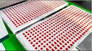 Starch Mogul Gummy Making Machine