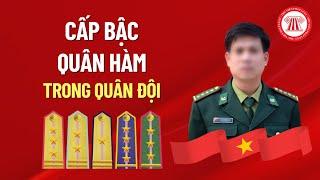 Cấp Bậc Quân Hàm Trong Quân Đội | THƯ VIỆN PHÁP LUẬT