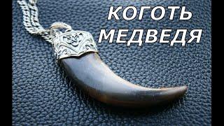 КОГОТЬ  МЕДВЕДЯ