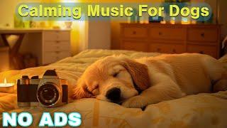 12 HOURS of Dog Calming Music For DogsAnti Separation Anxiety Relief MusicSleep dog Healing