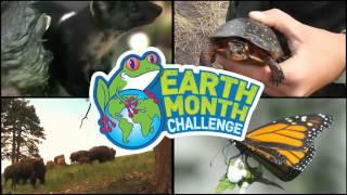 It's Earth Month, and it's time to Bring Back the Wild!