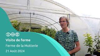 Visite de ferme - Ferme de la Motterie - Agrumes et fruitiers rares en Normandie