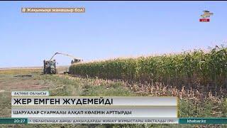 Ақтөбе облысы шаруалары суармалы алқап көлемін арттырды