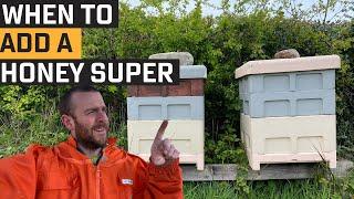 When To Add Honey Supers To Beehives