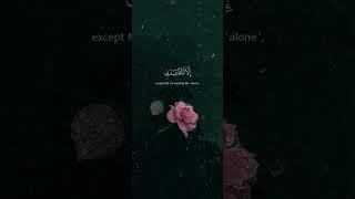 Peaceful recitation #quran #duet #hafizi #religioustext #recitation #love #quranreflections #fyp