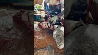 CUTTING MASTER'SFresh Fish Slicing#fishcutting #seafood #fishpreparation #cutfish