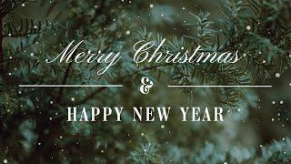 Merry Christmas From Hoffman Real Estate Group