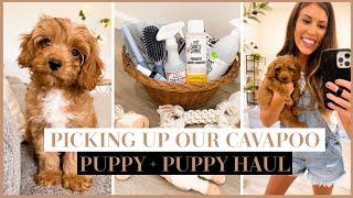 PICKING UP OUR NEW CAVAPOO PUPPY + NEW PUPPY ESSENTIALS HAUL