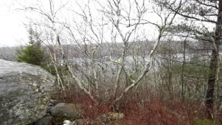 A rainy day on the Bluff Trail