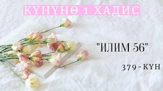 Күнүнө 1 хадис долбоору / Илим жана зикир / Илим 56