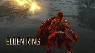 Elden Ring It's called the ERDTREE GREATSHIELD