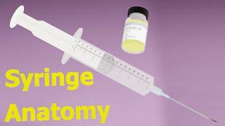 How does a Syringe work? 3D animation