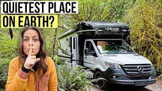 RV Road trip Into One of America's Last Rainforests