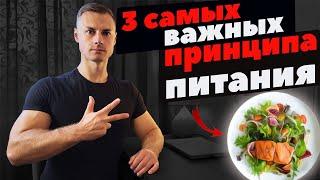 3 самых важных принципа питания!