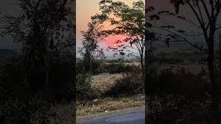 the beauty of nature #nature