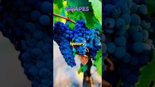 Facts about Grapes #facts #fruits #foods #shorts #shortvideo #grapes