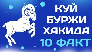 КУЙ БУРЖИ ХАКИДА 10 ТА ФАКТ