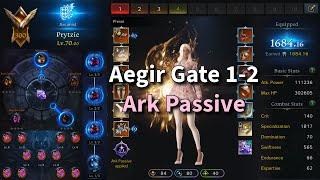 [Lost Ark] Aegir With Cheapo Ark Passive (Read Pin)