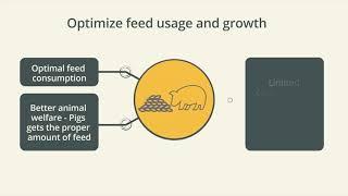 SKIOLD Eat Time Advanced - management system for pig farmers