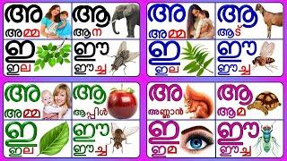 Learn Malayalam Letters/ Alphabets/ with video Malayalam@Prinitmalayalam