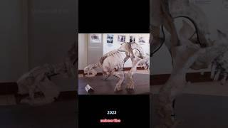 Glyptodon 2023 vs Glyptodon 9000bce years ago #viral #youtubeshorts #shorts #shortsviral #animal