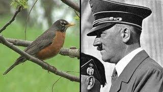 Robins: The Perfect Murder Machine - Horrifying Planet - Ep. 4