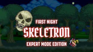 Terraria 1.3 - [Expert Mode Speedrun] Skeletron on First Night