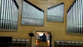 Serge Dmitriev Viluman - "Reminiscences of the Future", Kirill Umansky, Organ. Live in Novosibirsk