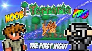Terraria Noob vs Pro - The First Night