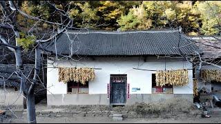 A man quit his job and renovated an old house to live in the mountains