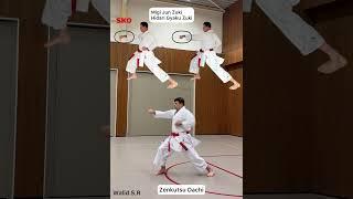 Wankan SKO Karate Kata  shotokan WR