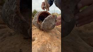 The hidden gold chronicles #treasurehunt #treasureadventurehunters
