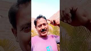 yahan vahan sare Jahan main Tera Raj hai#Kishor Kumar viral # song#