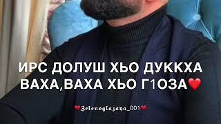 Дала декъал войла хьо